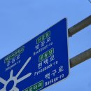 컴포즈커피진해남원로타리점 | 2026 진해 군항제 벚꽃 축제 / 벚꽃 실시간 현황 [ 먹거리 • 치미창가 • 칠리스 • 참치학교 ]
