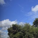 레바셀 | 2026년 2월 셋째 주 일기 | 보는 것이 전부가 아니라고 믿기