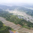 솔밭가는길 이미지