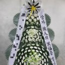 야탑동 351 (분당차병원) 이미지