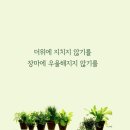 오숲