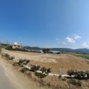 다임공인중개사사무소 이미지