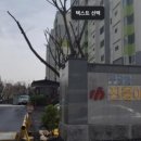 목련3단지우성1차 이미지