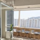 메르시모몽 이미지