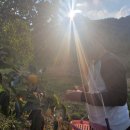 우종은농장 이미지