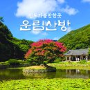 진도돈마당 | 진도가볼만한곳 운림산방 그리고 소치 허련과 후손 전시관