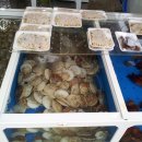 삼척번개시장 이미지