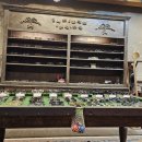 라시트포 인디고 이미지