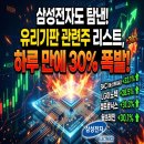 삼성전자도 탐낸 유리기판 관련주 리스트, 하루 만에 30% 폭발!