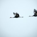 섬들근린공원 이미지