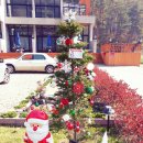 베니스펜션 이미지