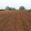 성모농장 이미지