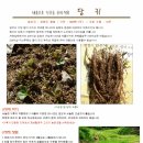 (주)한품 이미지