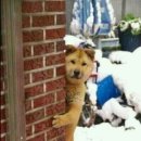 웃으면복이와요 이미지