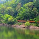 삼기저수지 등잔길 이미지