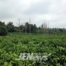 삼달1리 이미지