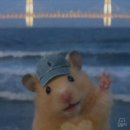 (주)응급일이구 | [분당제일여성병원] 응급 제왕 출산 후기 2탄