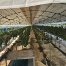 남산리 하우스 이미지