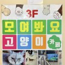 모여봐요 고양이 카페 이미지
