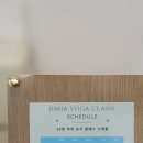 라하(RAHA) | 용인 명지대역 역북동 라하요가 오픈클래스 후기 시간표,주차가능