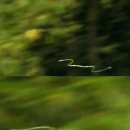 자유롭게저하늘에 이미지