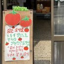 크크크 인형뽑기 | 삶은 토마토