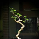 구)조선일보 앞 이미지