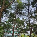 하동우렁추어탕 오금점 이미지