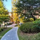 영당말근린공원 이미지