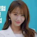 렌터카다모아 | 악사 자동차 보험 완벽 가이드 (2025년 최신 정보)