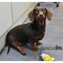 헤이븐동물병원 이미지