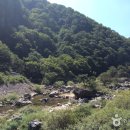 심원마트 | [경상북도 문경시] 숲이조아오토캠핑장