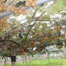 박이농장 이미지