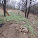 천중농장 이미지