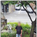 도그빌동물병원 이미지