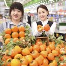 영암농협하나로마트 이미지