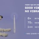 펫 클럽 이미지