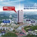 울산대학교박물관 이미지