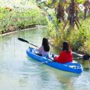 비체올린 이미지