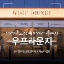 제로네 펫쌀롱 | 의정부 애견카페 | 에이엔티 우프라운지 의정부점 | 루프탑에서 즐기는 파스타와 맥주 | 반려견 라운지...