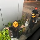경청스타즈 말레이시아 후기 (5) - 1919 레스토랑 사랑합니다