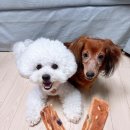 말랑말랑 이미지