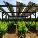 영 태양광 농장 이미지