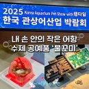동화 속 만들기 세상 (A) | 킨텍스 한국 관상어산업 박람회 수제 공예품 물꼬미 내돈내산