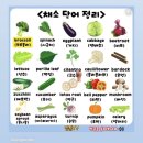 성포전집 | 12월) 바쁘디 바빴던 연말 기록 - 1
