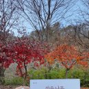 작은나무 이미지