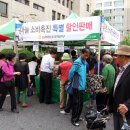 태안장터 이미지