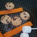 보람관광 이미지