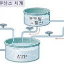 등촌사우나
