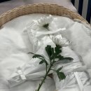 몽몽이엠파크 이미지